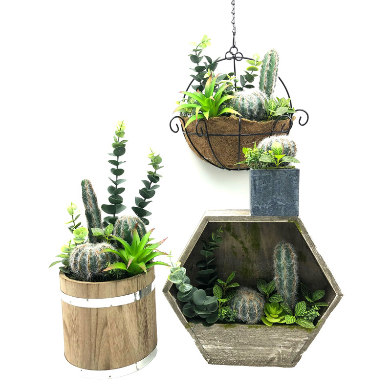 Cactus artificiel fixé pour la maison ou le bureau dans la décoration succulente de pot décoratif