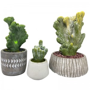Maison ou bureau artificiel moderne de cactus dans la décoration succulente de pot décoratif