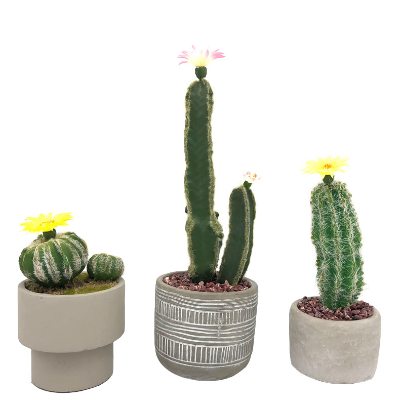 Maison ou bureau artificiel moderne de cactus dans la décoration succulente de pot décoratif