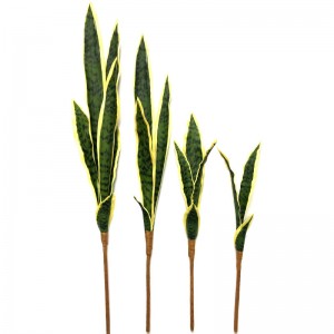 La langue de la belle-mère artificielle est bonne comme un décor de bureau à la maison de l'usine de serpent