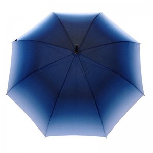 23 pouces parapluie droit marketing de tissu dégradé ouvert automatique