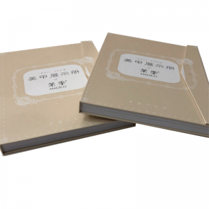 Beauty Nail Salon Accessoire Gel d'ongle Conseils Livre Livre de présentation Nail Art