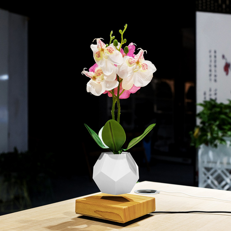 lévitation magnétique flottant pot air bonsaï PA-0708