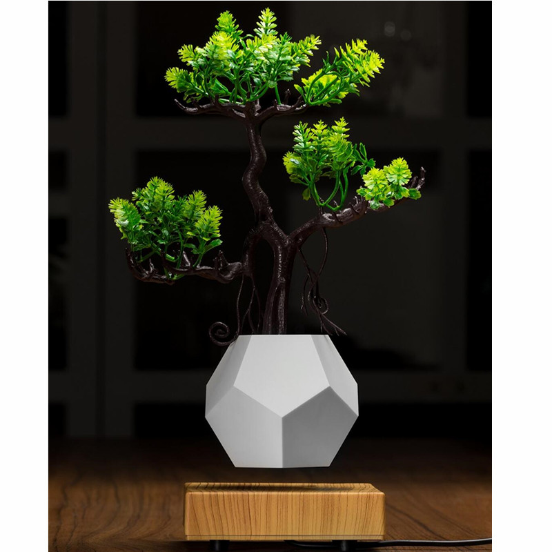 lévitation magnétique flottant pot air bonsaï PA-0708