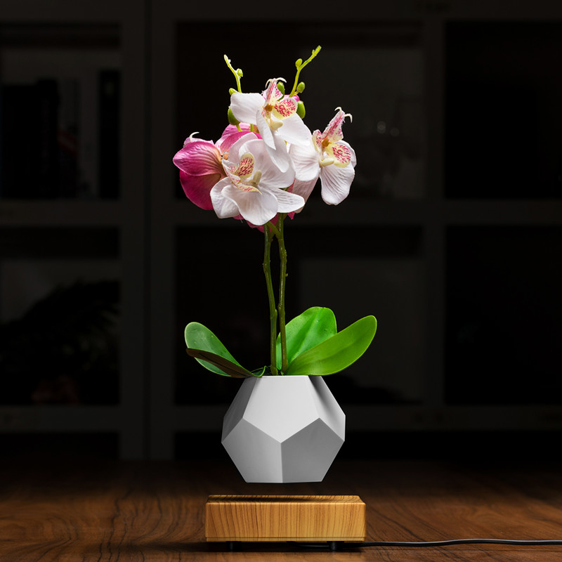 lévitation magnétique flottant pot air bonsaï PA-0708