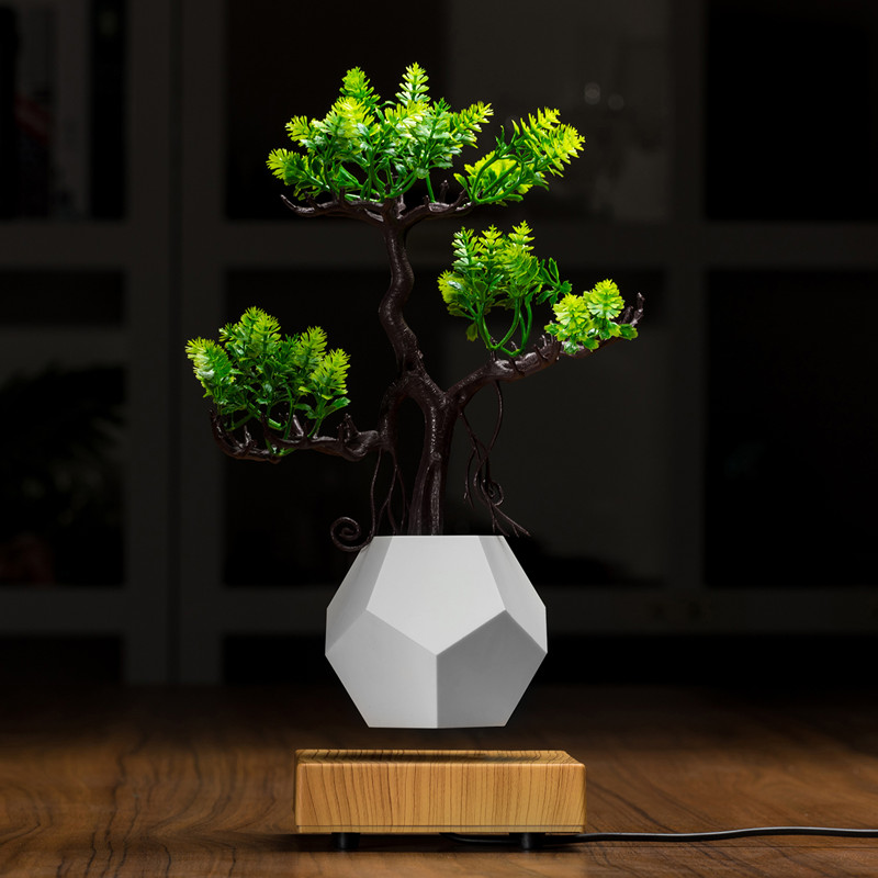 Planteurs de pots de bonsaïs à lévitation magnétique et à fond flottant PA-0708