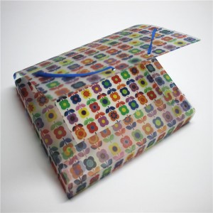 Chemise de classement en plastique PP avec élastique