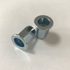écrou de rivet plein hex