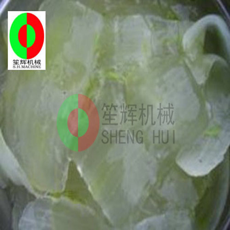 Aloe Cactus Peeling Machine