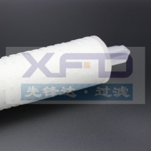 Cartouche filtrante plissée --- RFG