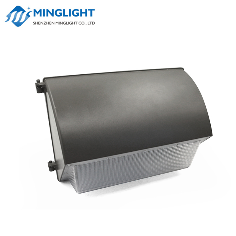 Lampe murale à LED WPB2 60W