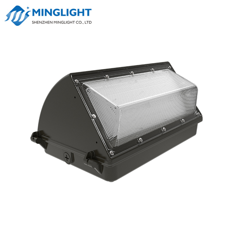 Lampe murale à LED WPB2 60W