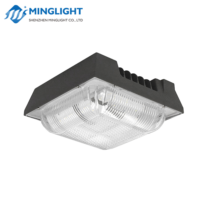 Projecteur de lumière à LED CNPA 50W