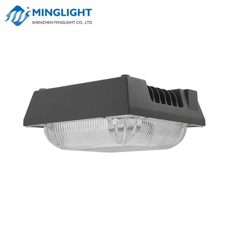 Projecteur de lumière à LED CNPA 50W