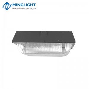 Projecteur de lumière à LED CNPA 100W