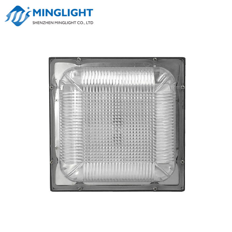 Projecteur de lumière à LED CNPA 100W