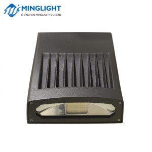 Pack Applique Murale LED WPD 30W