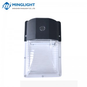 Pack Applique Murale LED WPA 12W