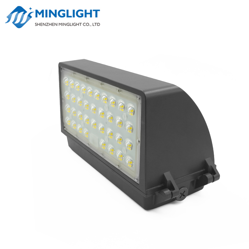 Pack Applique Murale LED WPC2 42W