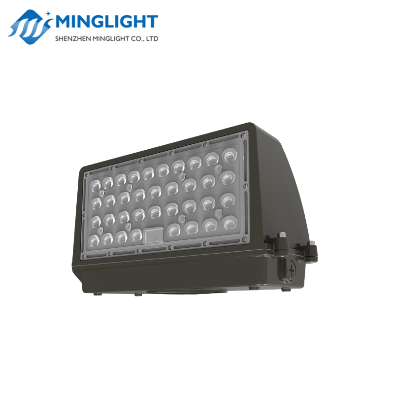 Pack Applique Murale LED WPC2 80W