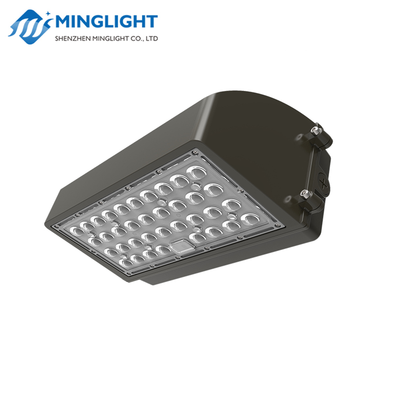 Pack Applique Murale LED WPC2 100W