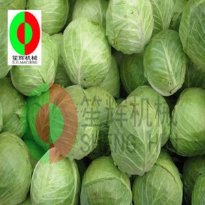 Noyau de chou TX-1000