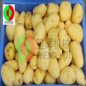 Nouveau type QX-608 Machine à éplucher les fruits / Machine de nettoyage et d'épluchage de fruits / Machine de nettoyage et d'épluchage de fruits