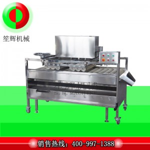 Fruit Cleaner / Fruit Cleaner / Fruit Brush Cleaner (nettoyage en profondeur) QM-2