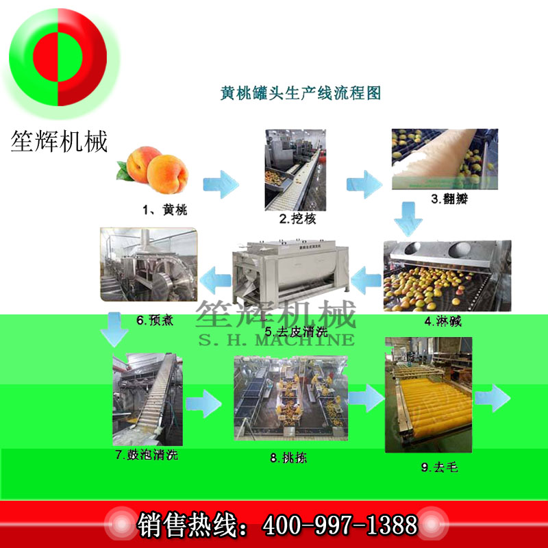 Grande chaîne de production de transformation de fruits / chaîne de production de transformation de pêche jaune