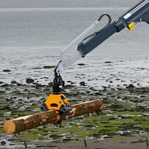 Grue à portique pour la manutention du bois