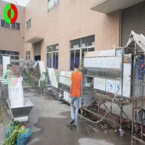 Grande chaîne de production d'épluchage et de découpe de fruits et légumes