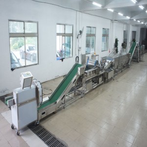 Gros poireaux tuant la chaîne de production