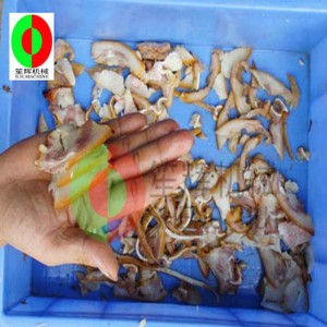 Petite trancheuse à viande / trancheuse à viande / découpeuse de viande / petite trancheuse à viande verticale QE-500