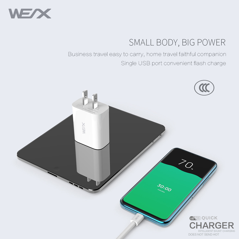 WEX - Chargeur de voyage V8, chargeur mural, adaptateur secteur