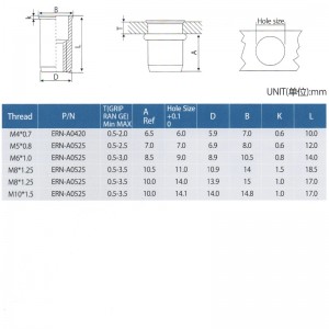 Ascenseur Réduire la tête Rivet nut