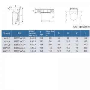 Extrémité étroite du corps semi-hexagonale à tête plate