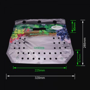 Sac d'emballage ziplock en plastique imprimé raisin avec des trous d'aération