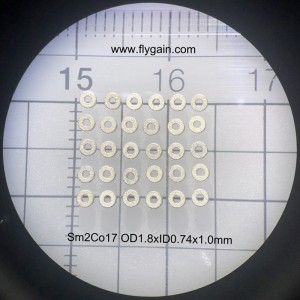 Petit aimant de précision de fabricant de la Chine pour le moteur