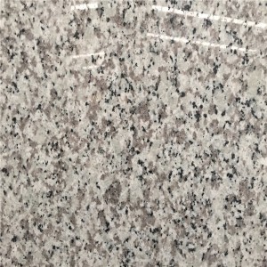Dalles de granit Delta White G439