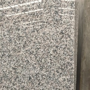 Dalles de granit China Bianco Sardo G623