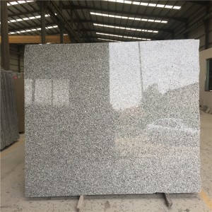 Dalle de granit gris cygne