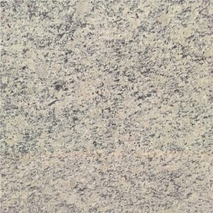 Giallo Santa Cecilia Granite pour Plans de Travail Dalle