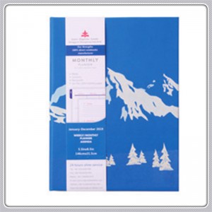 Bloc-notes de planificateur mensuel en cuir de nouvelle arrivée