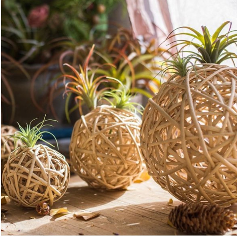 Belle décoration artistique pour les mariages et autres festivals