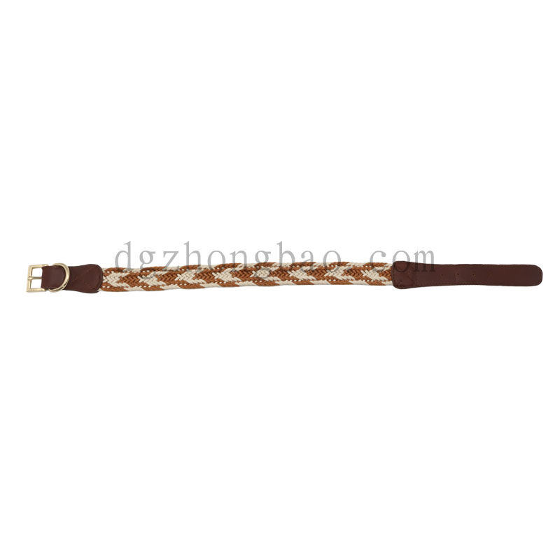 Collier de laisse tressé pour animaux de compagnie