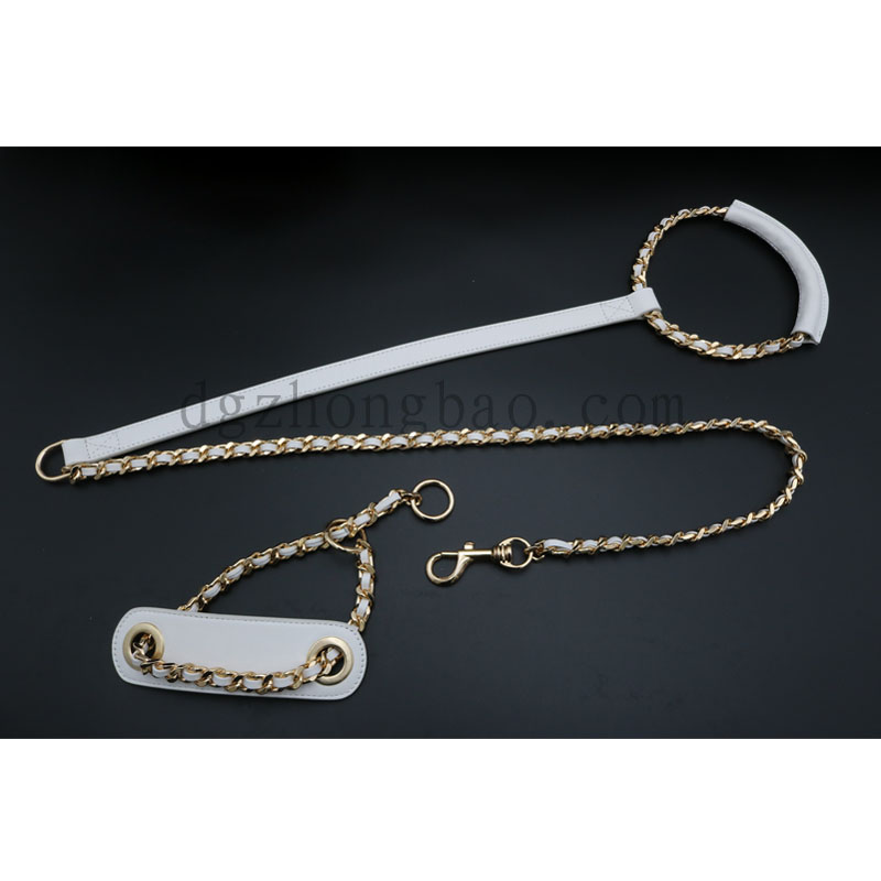 Collier de chien avec sangle de laisse pour animal