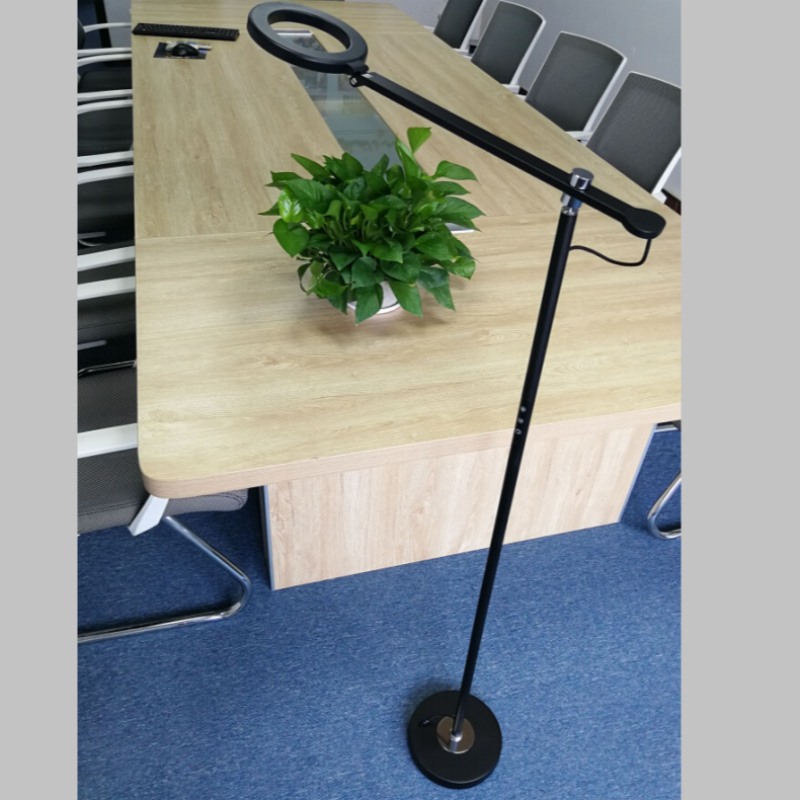 Lampe de bureau à del adaptable