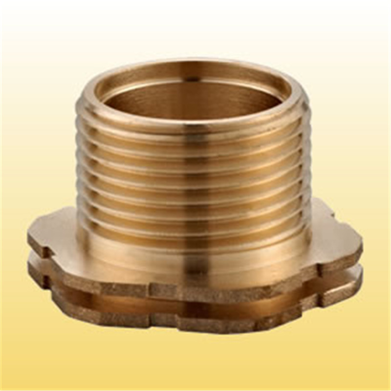Raccord de tube d 'insertion de laiton
