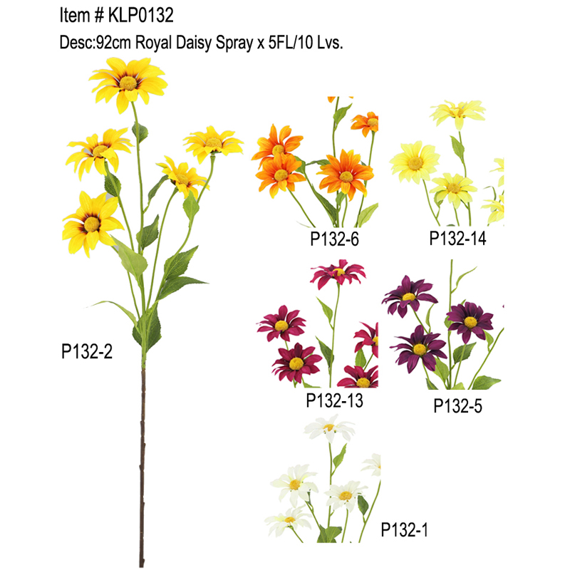 Royal Daisy Eau De Toilette Spray