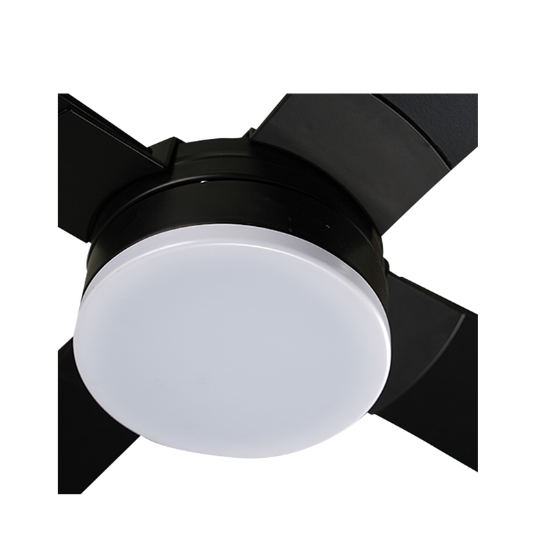 Cfl48 - d3602